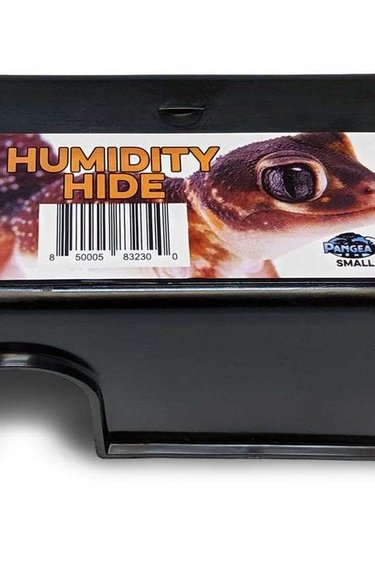 Pangea cachette humide/Humidity Hide Small