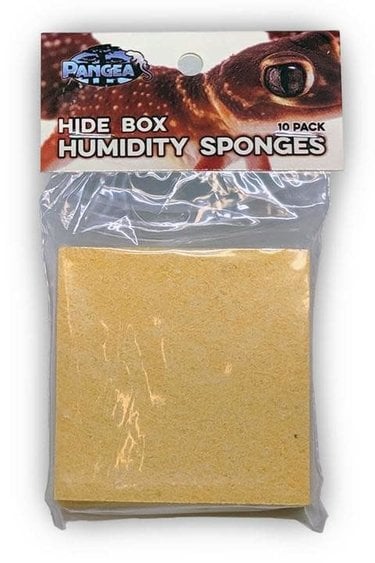 Pangea Éponges d'humidité pour cachette humide (pq de 10) - Hide Box Humidity Sponges (10 Pack)