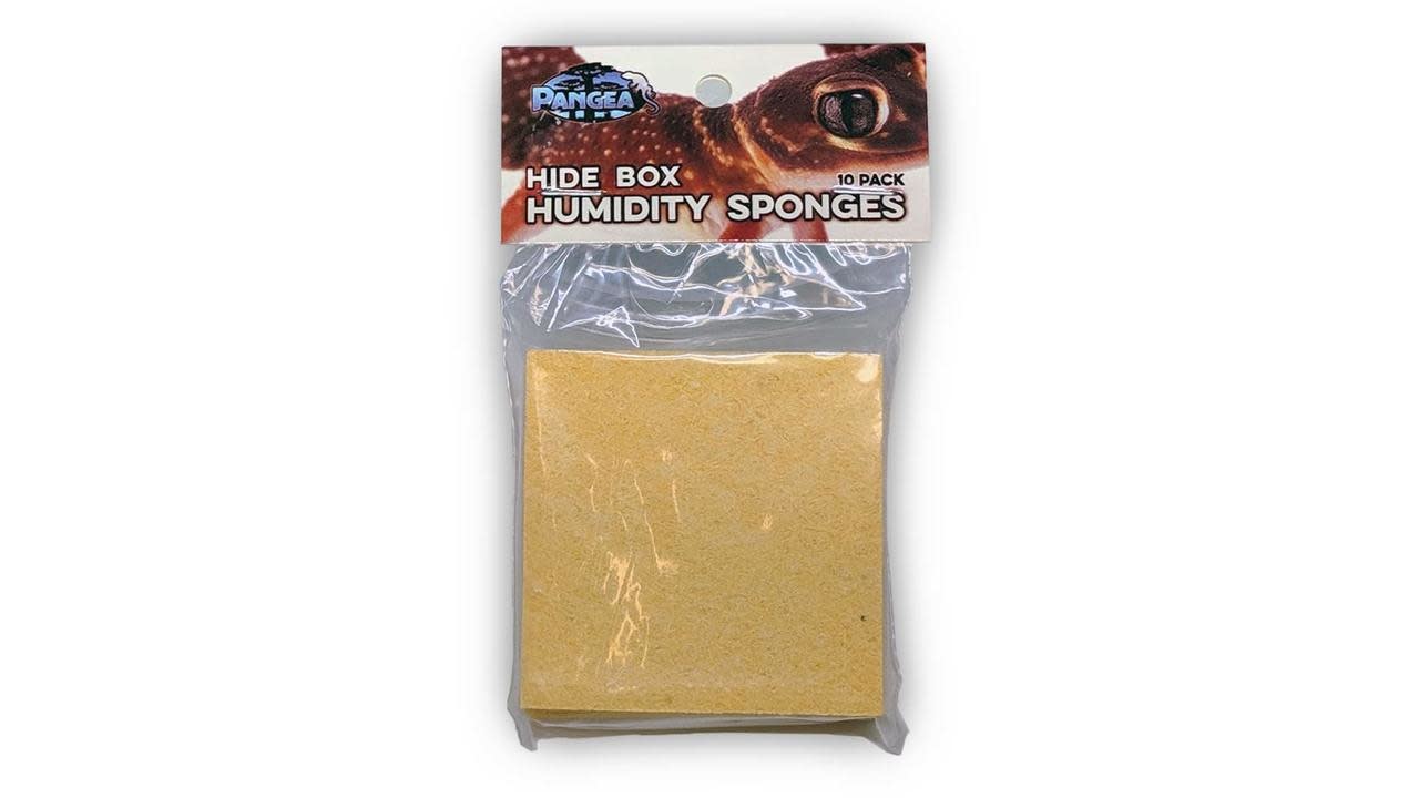 Pangea PANGEA Éponges d'humidité pour cachette humide (pq de 10) - Hide Box Humidity Sponges (10 Pack)