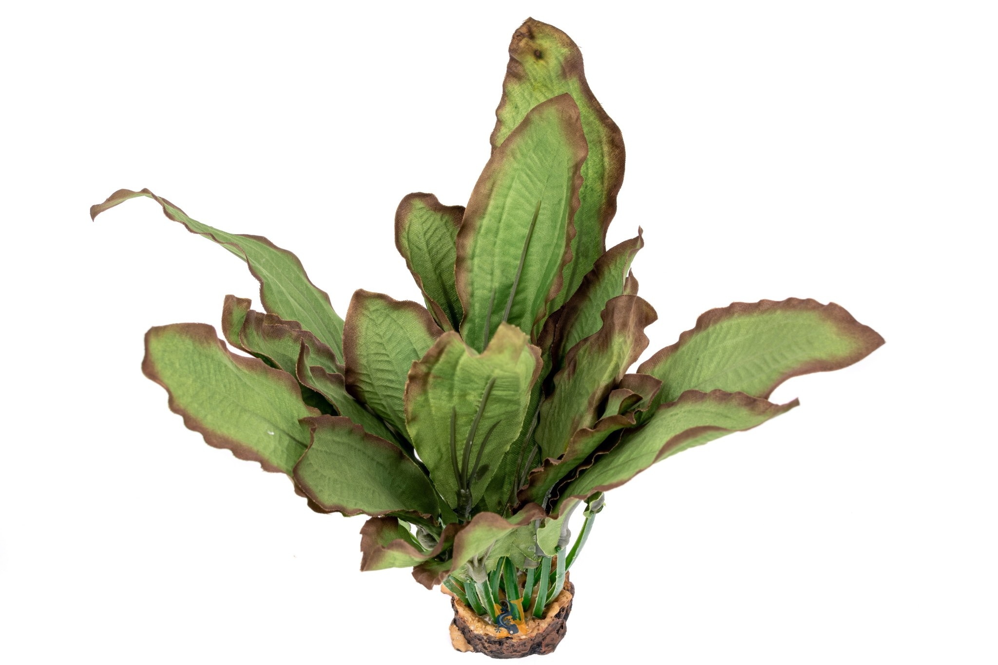 Aqua Globe AQUAGLOBE AQ-RB Plante de soie ruba