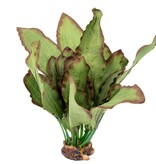 Aqua Globe AQUAGLOBE AQ-RB Plante de soie ruba