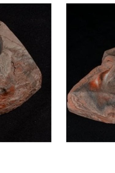 Pet-Tekk PET-TEKK Rocher pour petits vers