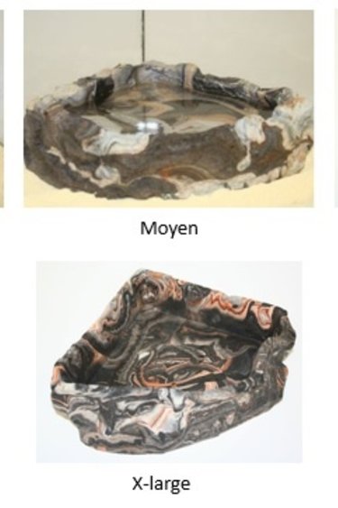 Pet-Tekk PET-TEKK Bol en coin