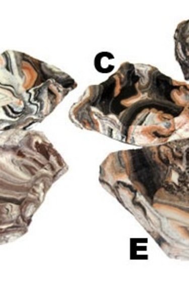 Pet-Tekk PET-TEKK Bol roche extra petit