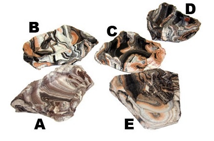 Pet-Tekk PET-TEKK Bol roche extra petit