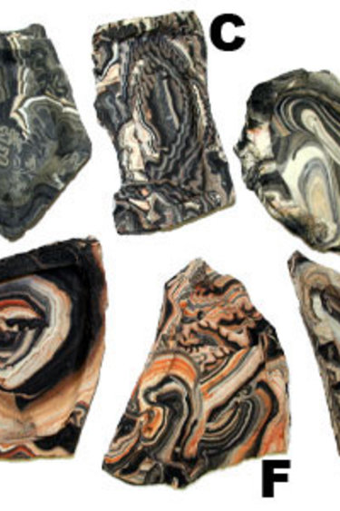 Pet-Tekk PET-TEKK Bol roche moyen