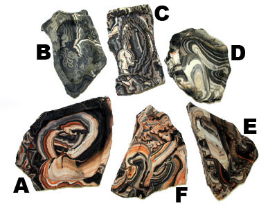 Pet-Tekk PET-TEKK Bol roche moyen