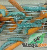 Magazoo Vers goliath  G1 - Goliath worm - Hornworm G1