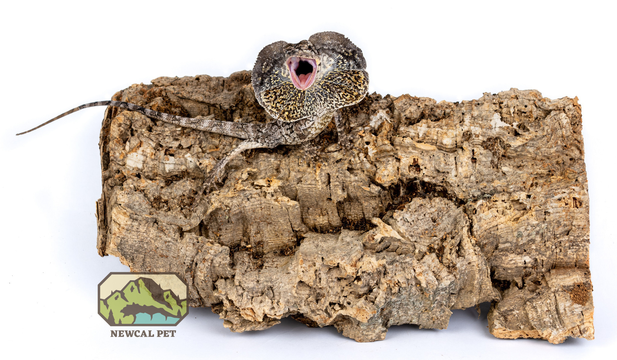 NewCal Pets NEWCAL Écorce plate