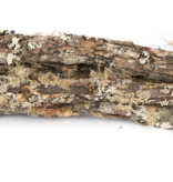 NewCal Pets NEWCAL Bâtons recouverts de mousse vériable