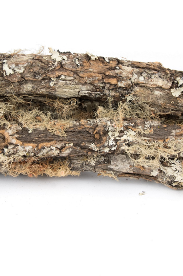 NewCal Pets NEWCAL Bâtons recouverts de mousse vériable