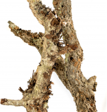 NewCal Pets NEWCAL BE Branche d'écorce en vrac