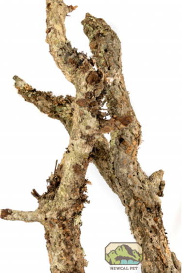 NewCal Pets NEWCAL BE Branche d'écorce en vrac