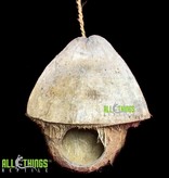 All things reptile Maison/cachette noix de coco - Hanging Coconut House/Hide