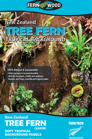 Fern Wood FERNWOOD Background Fougère arborescente