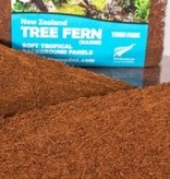 Fern Wood FERNWOOD Background Fougère arborescente