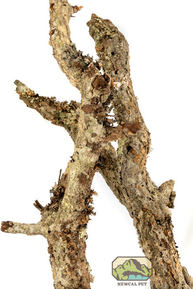 NewCal Pets NEWCAL NC-CBBLB Branches écorce  assorties 15 lbs TOUS DIAMÈTRES