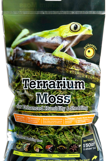 mousse magazoo l univers des reptiles mousse magazoo l univers des reptiles