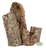 Zoomed Loose bark ev