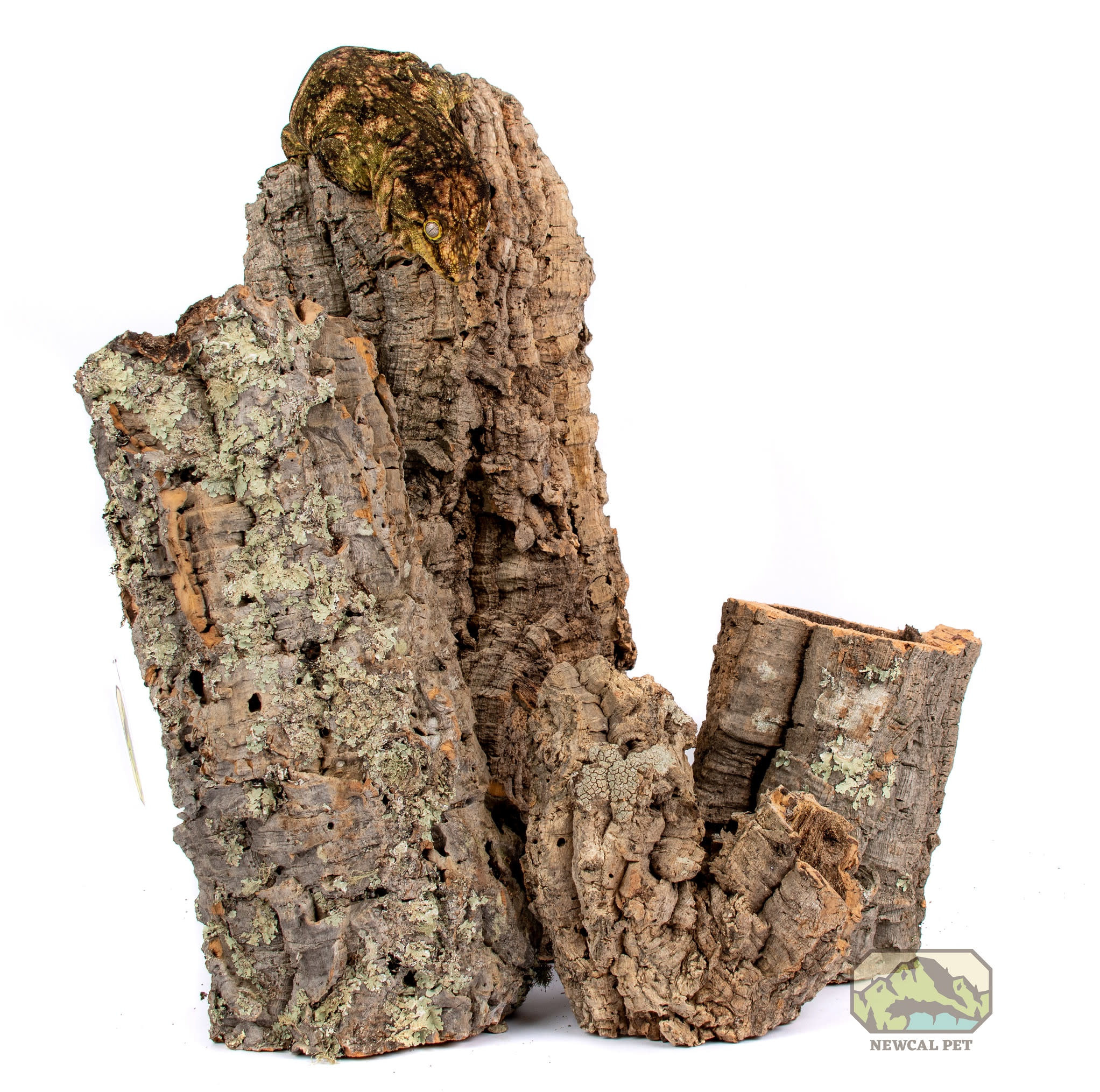 Zoomed Écorce en vrac ev