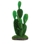 Prickly pear cactus small