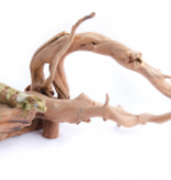 Aqua Globe AQUAGLOBE Bois d'araignée