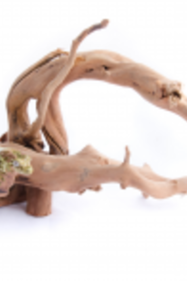 Aqua Globe AQUAGLOBE Bois d'araignée