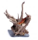 Aqua Globe AQUAGLOBE Bois sur ardoise