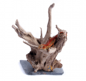 Aqua Globe AQUAGLOBE Bois sur ardoise