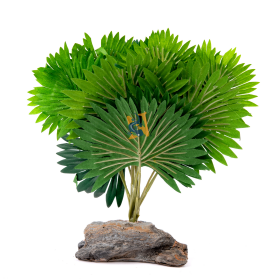 Pet-Tekk Mini palmier - Mini Fan Palm