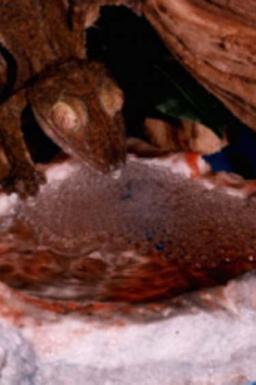 PT-190 Bol bubbler moyen - Medium bubbler bowl