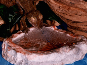 PT-190 Bol bubbler moyen - Medium bubbler bowl