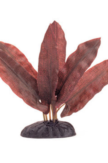 Marina MARINA PP182 Plante Longifolia 20 cm