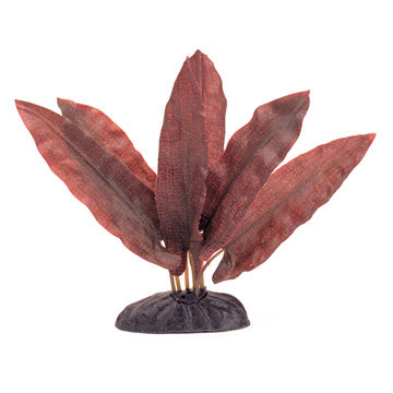 Marina MARINA PP182 Plante Longifolia 20 cm