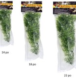 Zoomed Natural Bush™ Plants – Australian Maple