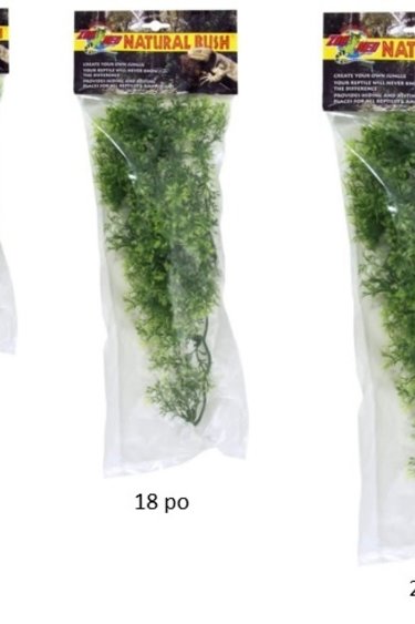 Zoomed ZOO MED Érable australien