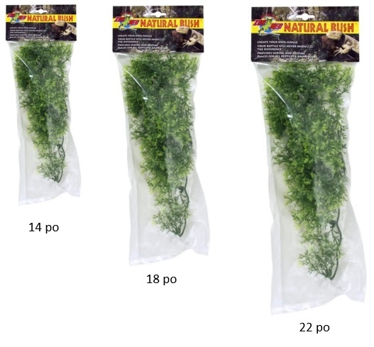 Zoomed ZOO MED Érable australien