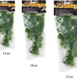 Zoomed ZOO MED Étoile de Borneo