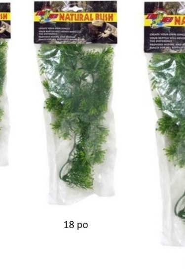 Zoomed ZOO MED Étoile de Borneo