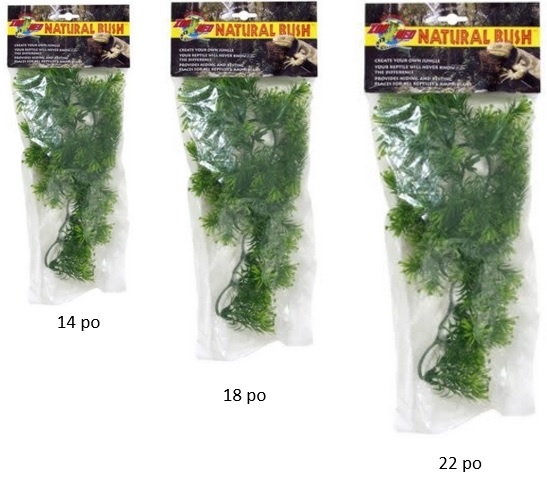 Zoomed Natural Bush™ Plants – Borneo Star