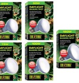 Exoterra EXO TERRA Ampoule à lumière du jour