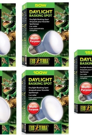 Exoterra EXO TERRA Ampoule à lumière du jour