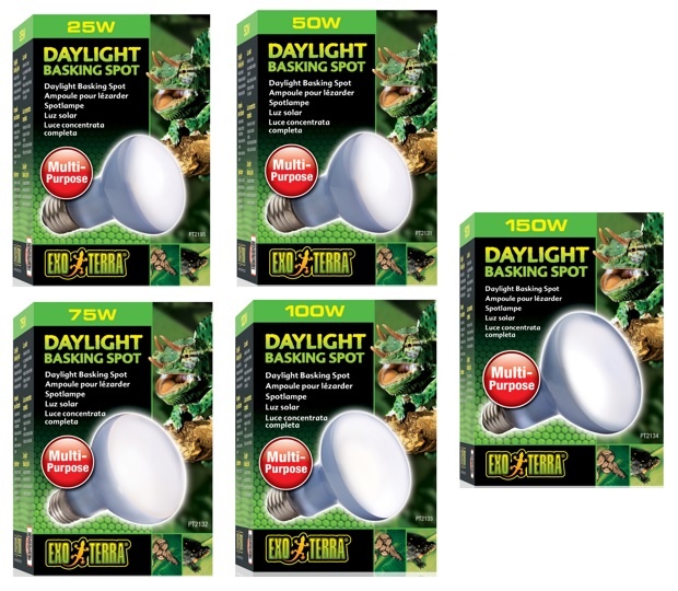 Exoterra EXO TERRA Ampoule à lumière du jour