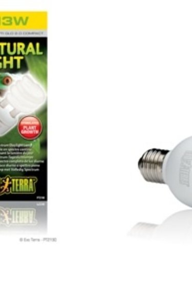 Exoterra EXO TERRA Ampoule fluocompacte – Natural light