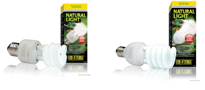 Exoterra Ampoule fluocompacte – Natural light