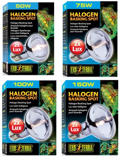 Exoterra EXO TERRA Ampoule Halogène Sun Glo à lumière du jour