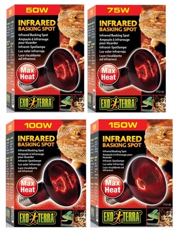 Exoterra EXO TERRA Ampoule infrarouge