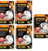 Exoterra EXO TERRA Ampoule intense