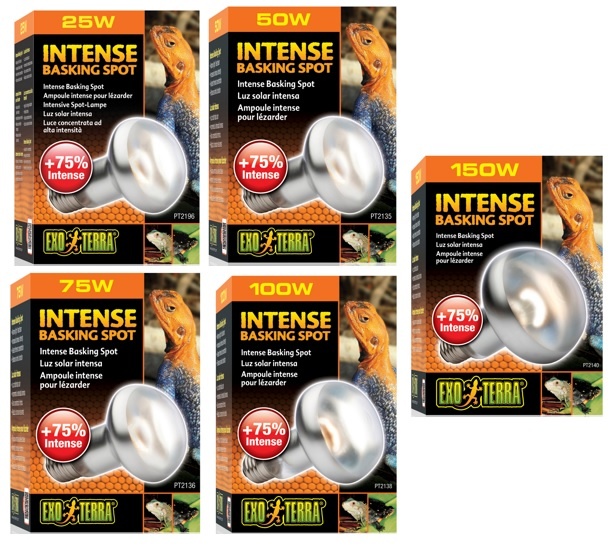 Exoterra EXO TERRA Ampoule intense