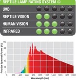 Exoterra Daytime Heat Lamp